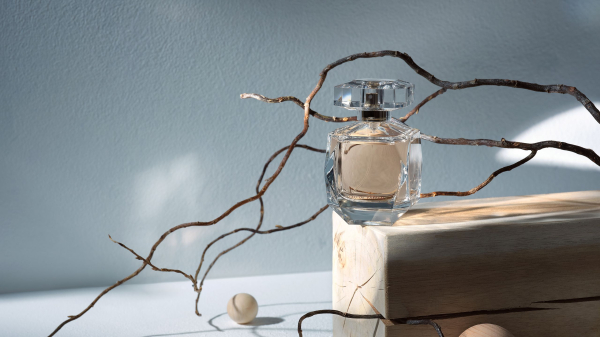 perfume bottle sitting on top of block with branches surrounding it